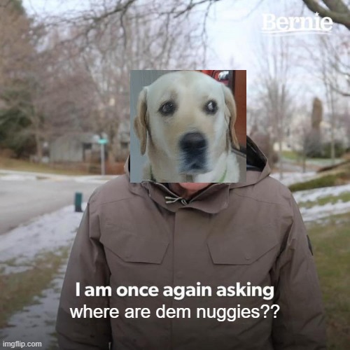 Doggo Wants Dem Nuggies | where are dem nuggies?? | image tagged in memes,bernie i am once again asking for your support | made w/ Imgflip meme maker