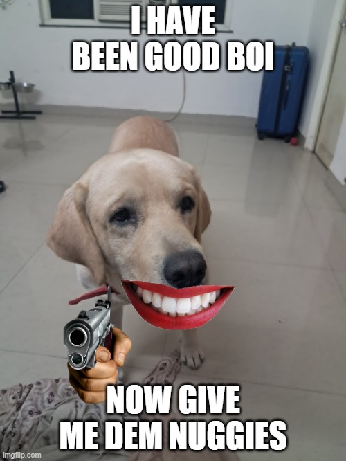 Doggo Really Wants Nuggies Now | I HAVE BEEN GOOD BOI; NOW GIVE ME DEM NUGGIES | made w/ Imgflip meme maker