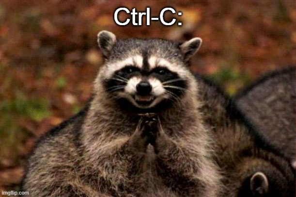 Evil Plotting Raccoon Meme | Ctrl-C: | image tagged in memes,evil plotting raccoon | made w/ Imgflip meme maker