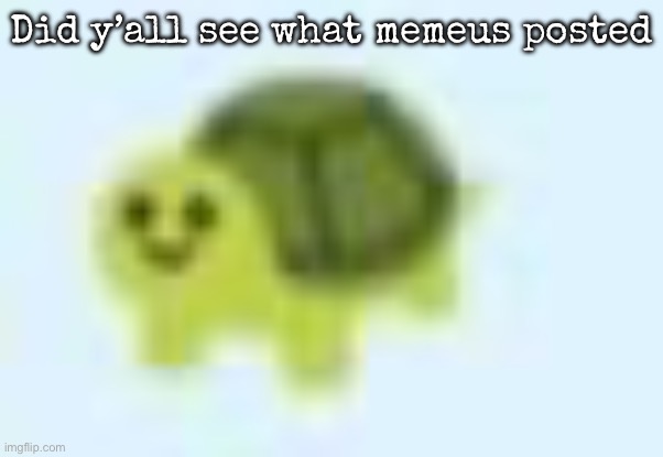 low quality turtle | Did y’all see what memeus posted | image tagged in low quality turtle,msmg | made w/ Imgflip meme maker