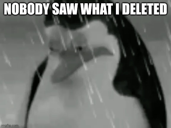 Sadge | NOBODY SAW WHAT I DELETED | image tagged in sadge | made w/ Imgflip meme maker