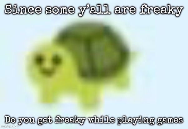 low quality turtle | Since some y’all are freaky; Do you get freaky while playing games | image tagged in low quality turtle,msmg | made w/ Imgflip meme maker