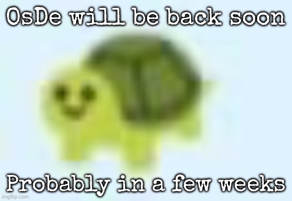 Check Vibe zone for more information | OsDe will be back soon; Probably in a few weeks | image tagged in low quality turtle,msmg | made w/ Imgflip meme maker