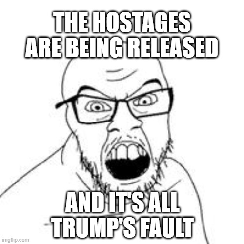 angry wojak | THE HOSTAGES ARE BEING RELEASED; AND IT'S ALL TRUMP'S FAULT | image tagged in angry wojak | made w/ Imgflip meme maker