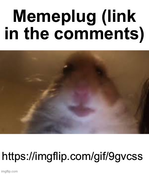 Memeplug | https://imgflip.com/gif/9gvcss | image tagged in memeplug | made w/ Imgflip meme maker