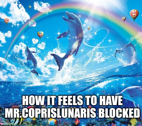How it feels to x | HOW IT FEELS TO HAVE MR.COPRISLUNARIS BLOCKED | image tagged in how it feels to x | made w/ Imgflip meme maker