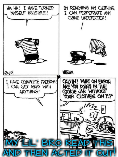 Bro Got a Funny Idea From This | MY LIL' BRO READ THIS AND THEN ACTED IT OUT! | image tagged in calvin and hobbes,little brother | made w/ Imgflip meme maker