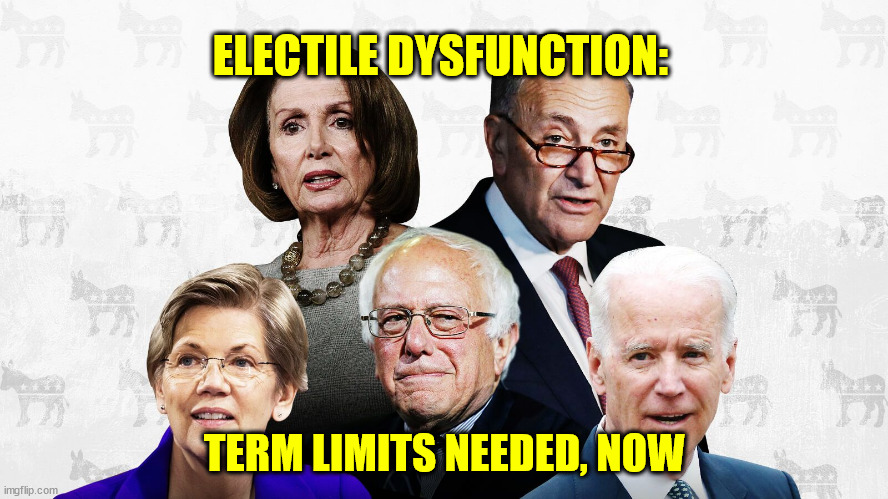 ELECTILE DYSFUNCTION:; TERM LIMITS NEEDED, NOW | made w/ Imgflip meme maker