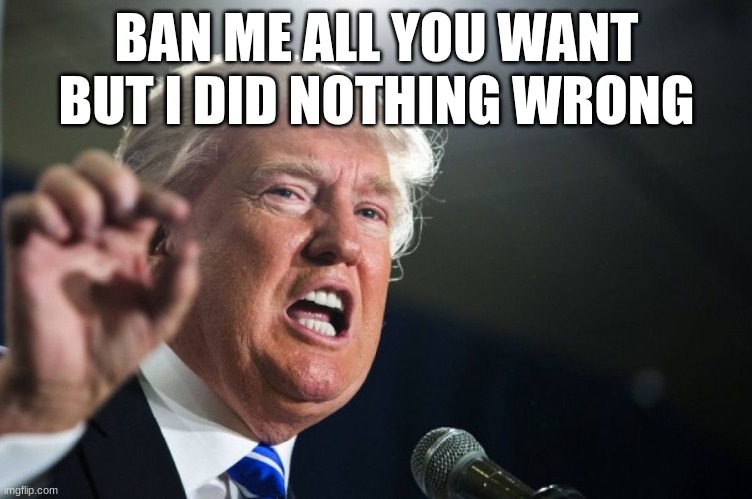 donald trump | BAN ME ALL YOU WANT BUT I DID NOTHING WRONG | image tagged in donald trump | made w/ Imgflip meme maker