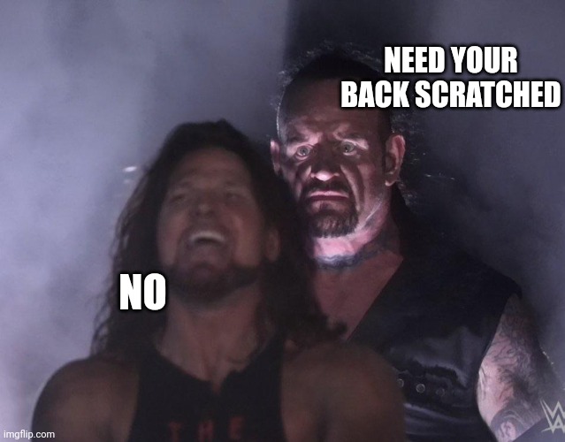 undertaker | NEED YOUR BACK SCRATCHED; NO | image tagged in undertaker | made w/ Imgflip meme maker