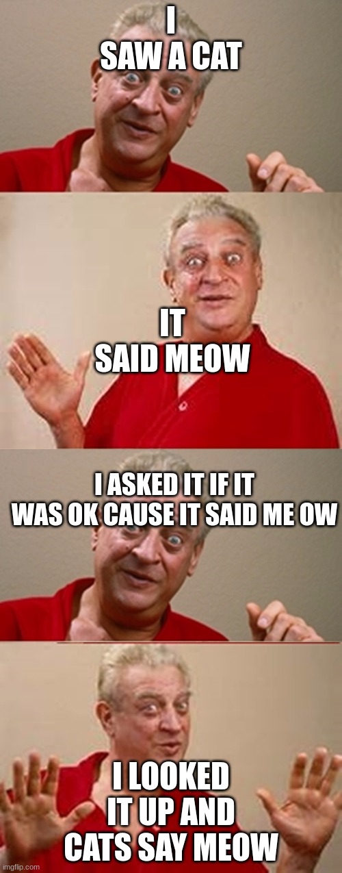 Rodney | I SAW A CAT; IT SAID MEOW; I ASKED IT IF IT WAS OK CAUSE IT SAID ME OW; I LOOKED IT UP AND CATS SAY MEOW | image tagged in rodney | made w/ Imgflip meme maker