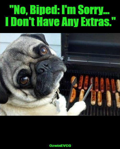 NBIS... | "No, Biped: I'm Sorry... 

I Don't Have Any Extras."; OzwinEVCG | image tagged in dog cooking bbq,food,humans,sorry,leftovers,tabes have turned | made w/ Imgflip meme maker