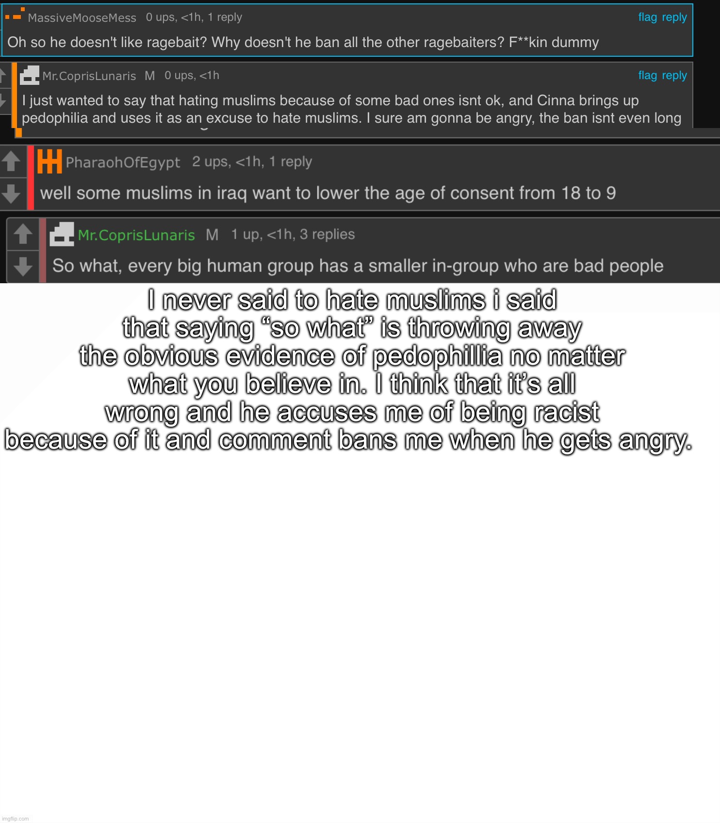 So yeah just so u know i don’t hate anyone of any nationality yall r the same to me | I never said to hate muslims i said that saying “so what” is throwing away the obvious evidence of pedophillia no matter what you believe in. I think that it’s all wrong and he accuses me of being racist because of it and comment bans me when he gets angry. | image tagged in blank white template | made w/ Imgflip meme maker