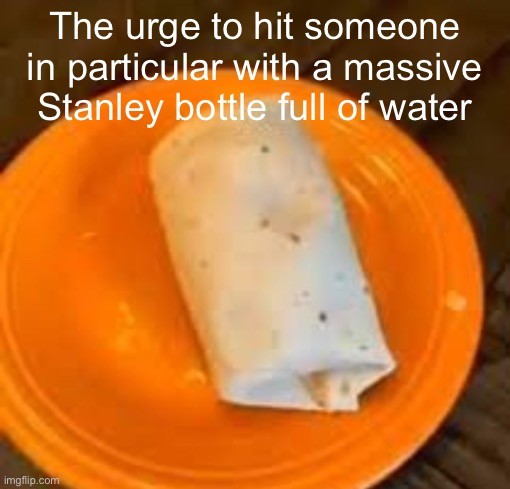 JimmyHere Burrito | The urge to hit someone in particular with a massive Stanley bottle full of water | image tagged in jimmyhere burrito | made w/ Imgflip meme maker