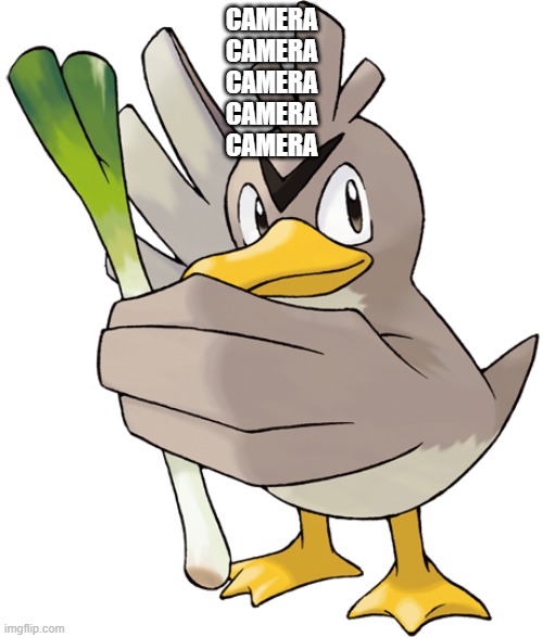 Farfetch'd | CAMERA
CAMERA
CAMERA
CAMERA
CAMERA | image tagged in farfetch'd | made w/ Imgflip meme maker