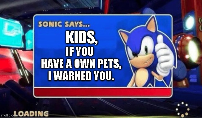 Sonic says about pets | KIDS, IF YOU  HAVE A OWN PETS, I WARNED YOU. | image tagged in sonic says | made w/ Imgflip meme maker