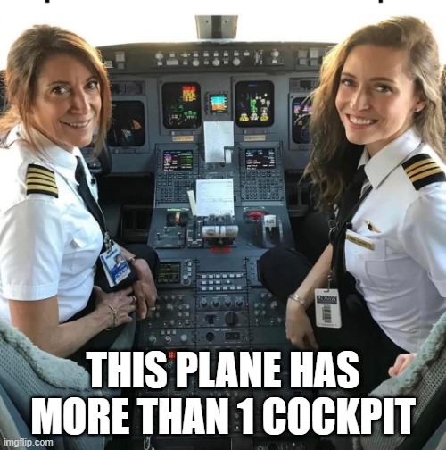 Cockpits | THIS PLANE HAS MORE THAN 1 COCKPIT | image tagged in sex jokes | made w/ Imgflip meme maker