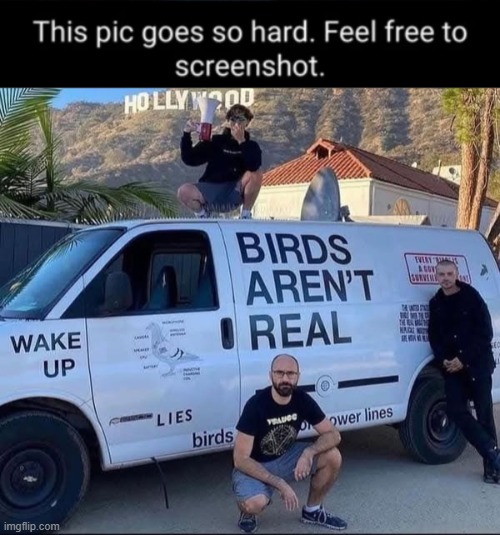 image tagged in this pic goes hard feel free to screenshot template | made w/ Imgflip meme maker