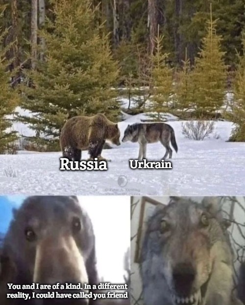 bear vs wolf | Urkrain; Russia; You and I are of a kind. In a different reality, I could have called you friend | image tagged in bear vs wolf,slavic | made w/ Imgflip meme maker