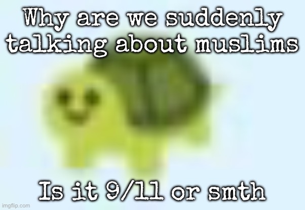 Just came back online, what happened now? | Why are we suddenly talking about muslims; Is it 9/11 or smth | image tagged in low quality turtle,msmg | made w/ Imgflip meme maker