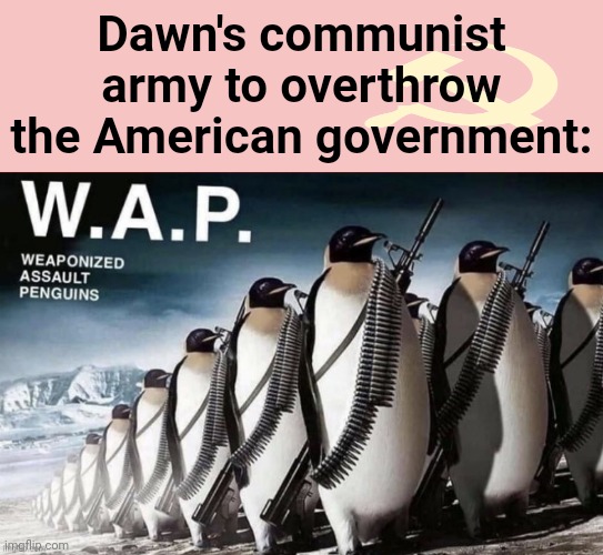 Lmaooo | Dawn's communist army to overthrow the American government: | image tagged in wap | made w/ Imgflip meme maker