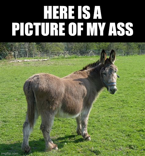 HERE IS A PICTURE OF MY ASS | image tagged in memes,blank transparent square | made w/ Imgflip meme maker