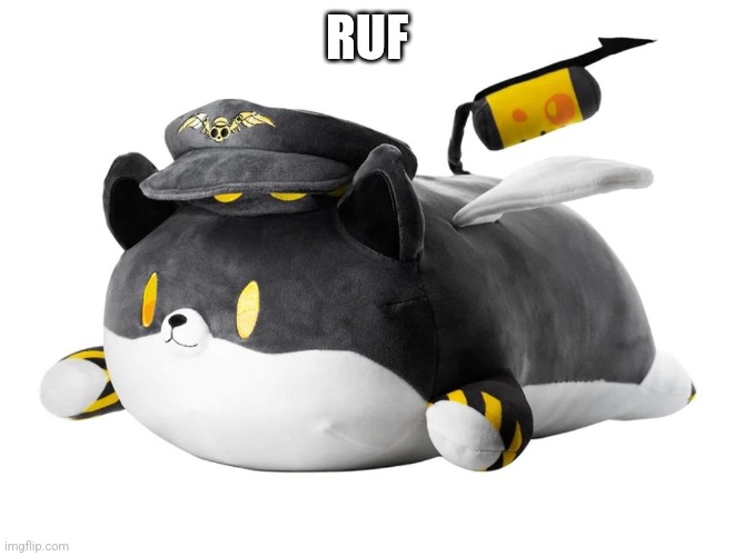 dog N | RUF | image tagged in dog n | made w/ Imgflip meme maker