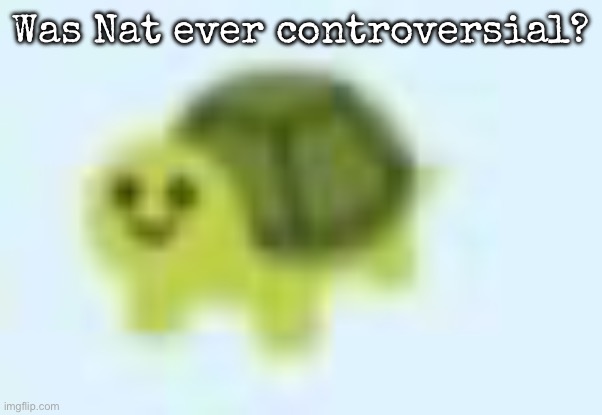 low quality turtle | Was Nat ever controversial? | image tagged in low quality turtle,msmg | made w/ Imgflip meme maker