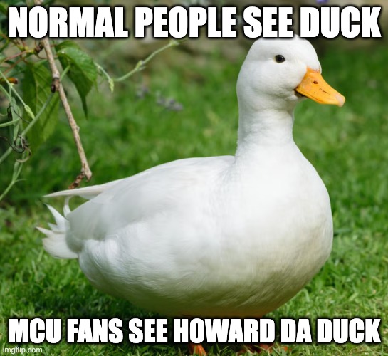 MCu fans | NORMAL PEOPLE SEE DUCK; MCU FANS SEE HOWARD DA DUCK | image tagged in mcu | made w/ Imgflip meme maker