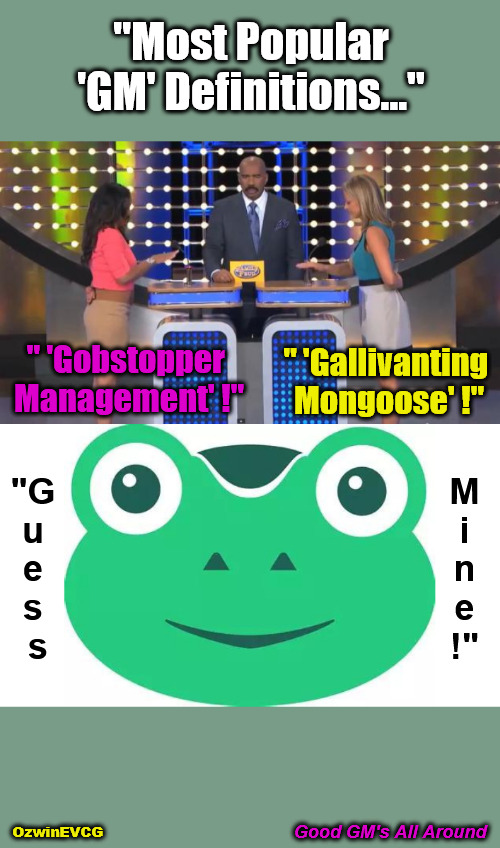 Good GM's All Around | "Most Popular 'GM' Definitions..."; " 'Gobstopper 

Management' !"; " 'Gallivanting 

Mongoose' !"; "G 

u 

e 

s 

s; M 

i 

n 

e 

!"; Good GM's All Around; OzwinEVCG | image tagged in gab,gm,social media,good morning,acronyms,definitions | made w/ Imgflip meme maker