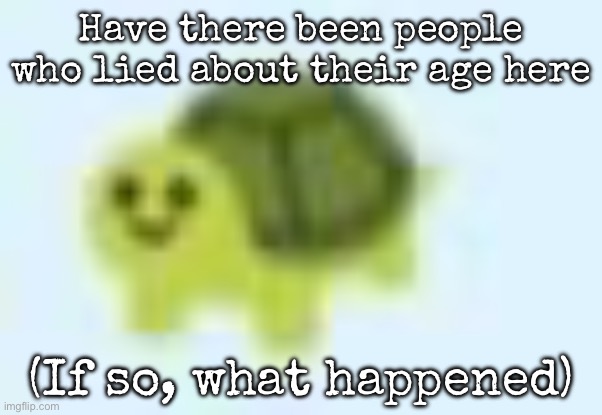 low quality turtle | Have there been people who lied about their age here; (If so, what happened) | image tagged in low quality turtle,msmg | made w/ Imgflip meme maker