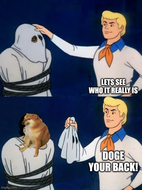 doge | LETS SEE WHO IT REALLY IS; DOGE YOUR BACK! | image tagged in scooby doo mask reveal,doge | made w/ Imgflip meme maker