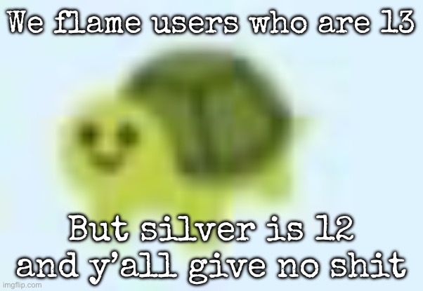 low quality turtle | We flame users who are 13; But silver is 12 and y’all give no shit | image tagged in low quality turtle,msmg | made w/ Imgflip meme maker