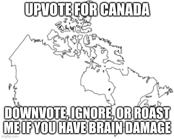 chill | UPVOTE FOR CANADA; DOWNVOTE, IGNORE, OR ROAST ME IF YOU HAVE BRAIN DAMAGE | image tagged in irnguvnrubvridgvnhrgvuerivnbvteribvnhrvb | made w/ Imgflip meme maker