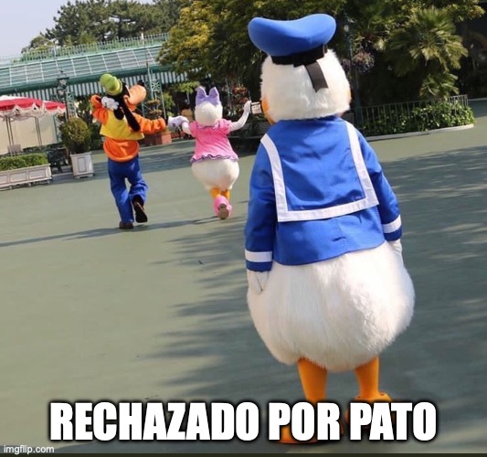 Rachazado por pato | RECHAZADO POR PATO | image tagged in goofy donald duck daisy duck | made w/ Imgflip meme maker