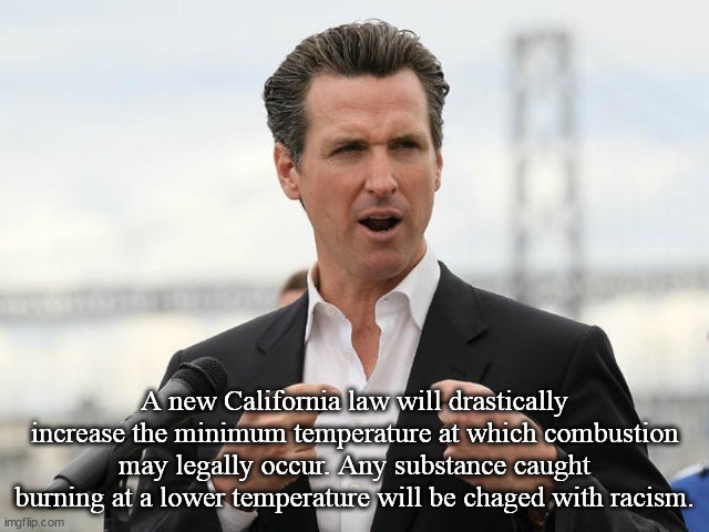 gavin newsome | A new California law will drastically increase the minimum temperature at which combustion may legally occur. Any substance caught burning at a lower temperature will be chaged with racism. | image tagged in gavin newsome | made w/ Imgflip meme maker