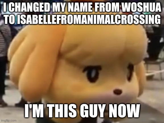 Isabelle Omg | I CHANGED MY NAME FROM WOSHUA TO ISABELLEFROMANIMALCROSSING; I'M THIS GUY NOW | image tagged in isabelle omg | made w/ Imgflip meme maker