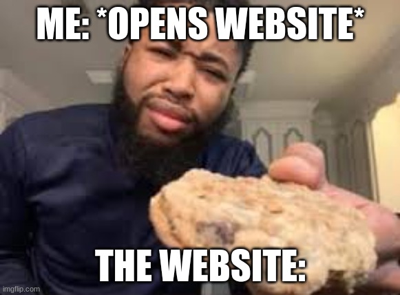 Sweet! | ME: *OPENS WEBSITE*; THE WEBSITE: | image tagged in cookies | made w/ Imgflip meme maker