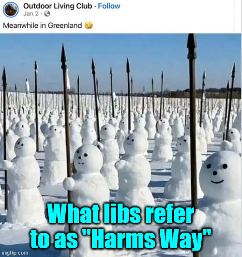 What libs refer to as "Harms Way" | made w/ Imgflip meme maker