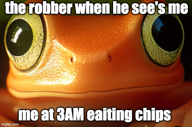 FROG DEATH STARE | the robber when he see's me; me at 3AM eaiting chips | image tagged in frog death stare | made w/ Imgflip meme maker