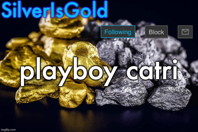 Silver’s Nostalgia Template | playboy catri | image tagged in silver s nostalgia template | made w/ Imgflip meme maker
