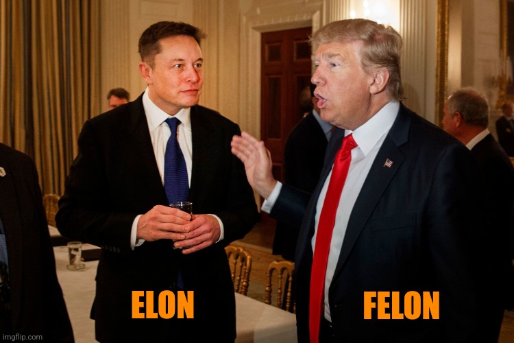 With a hat tip to MrMcMemer | ELON; FELON | image tagged in f elon,felon,folie a deux | made w/ Imgflip meme maker