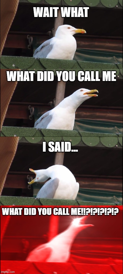 Inhaling Seagull | WAIT WHAT; WHAT DID YOU CALL ME; I SAID... WHAT DID YOU CALL ME!!?!?!?!?!? | image tagged in memes,inhaling seagull | made w/ Imgflip meme maker