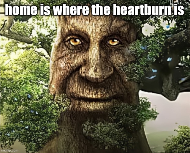 tree | home is where the heartburn is | image tagged in tree | made w/ Imgflip meme maker