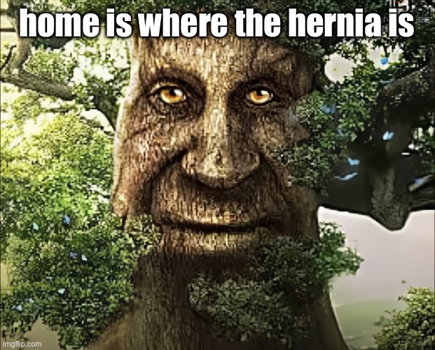 tree | home is where the hernia is | image tagged in tree | made w/ Imgflip meme maker