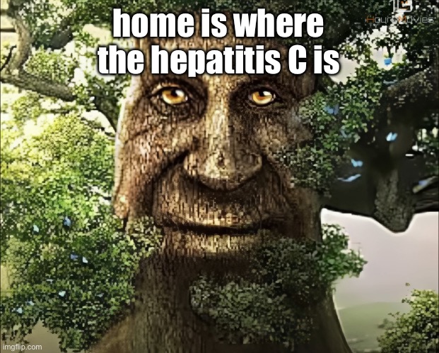 tree | home is where the hepatitis C is | image tagged in tree | made w/ Imgflip meme maker