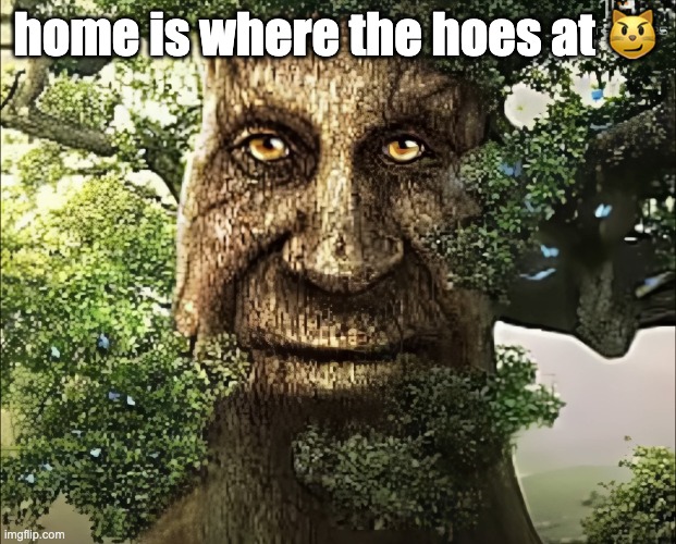 tree | home is where the hoes at 😼 | image tagged in tree | made w/ Imgflip meme maker