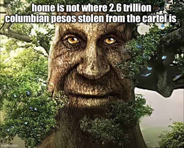 tree | home is not where 2.6 trillion columbian pesos stolen from the cartel is | image tagged in tree | made w/ Imgflip meme maker