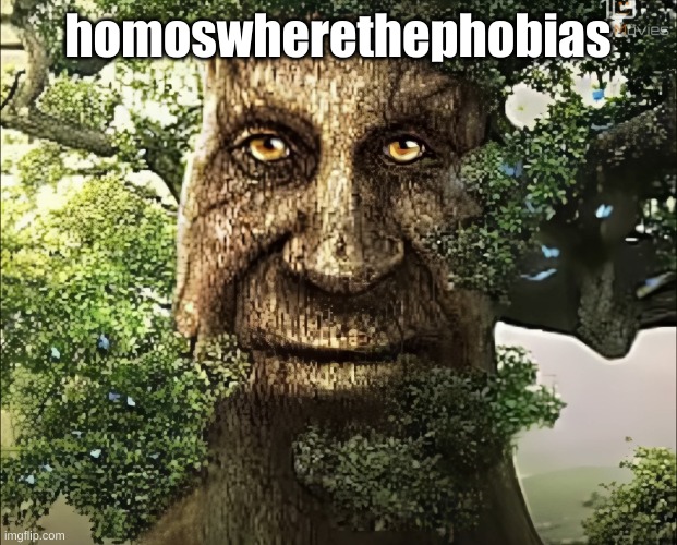 tree | homoswherethephobias | image tagged in tree | made w/ Imgflip meme maker