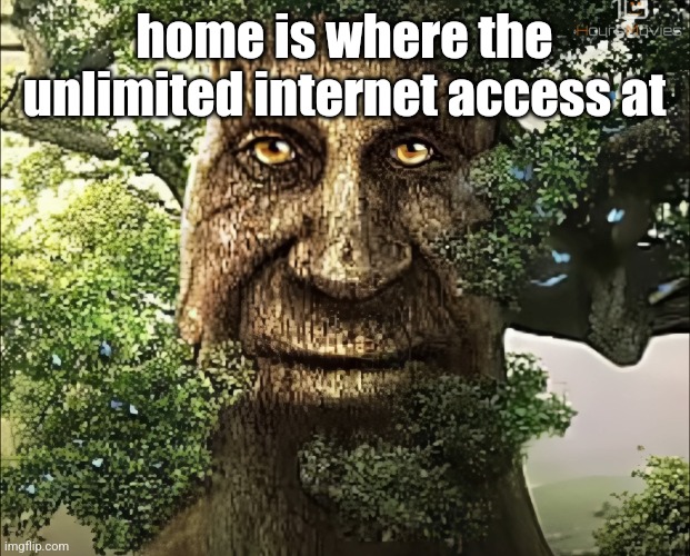 tree | home is where the unlimited internet access at | image tagged in tree,mystic,brainrot,internet,msmg,memes | made w/ Imgflip meme maker